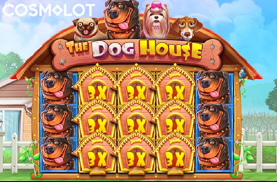 dog house