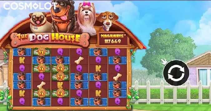 dog house demo